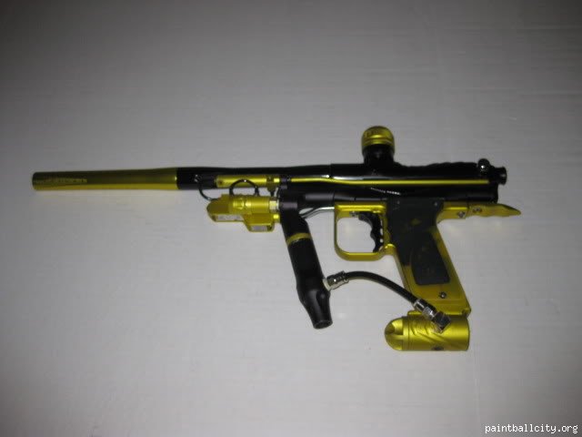 wgp-worr-domination-paintballstures-pic-porn-ginekolog